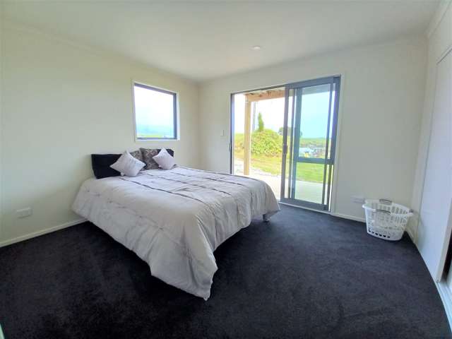 169 Alma Road Westport_4