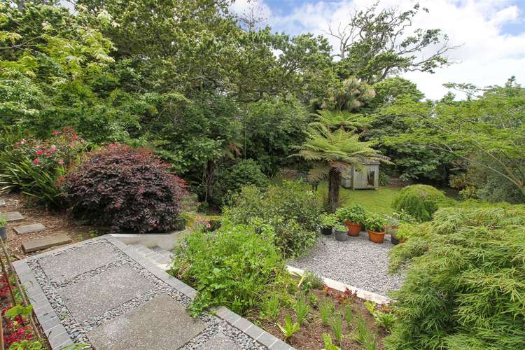 54 Vincent Street Howick_5