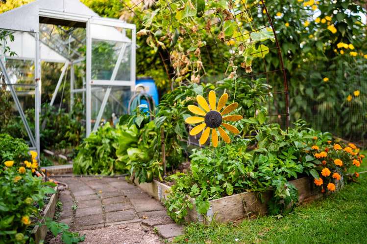 11 Himikera Avenue Avondale_36