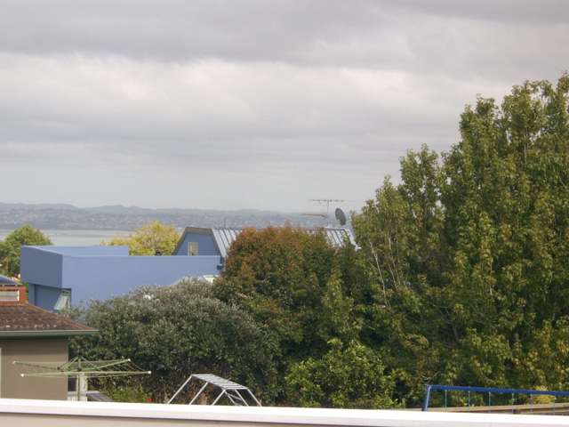 45 Balmain Road Birkenhead_1