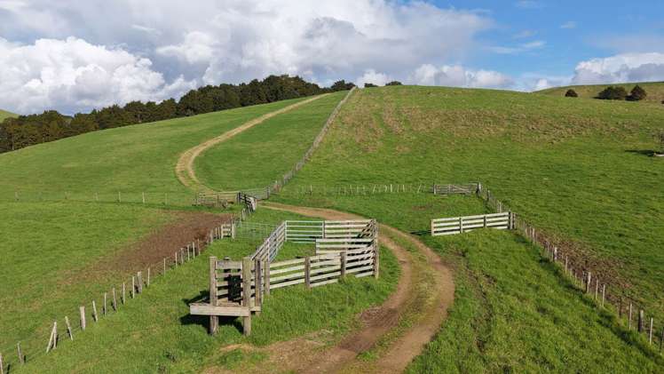 256 McIntyre Road Oromahoe_4