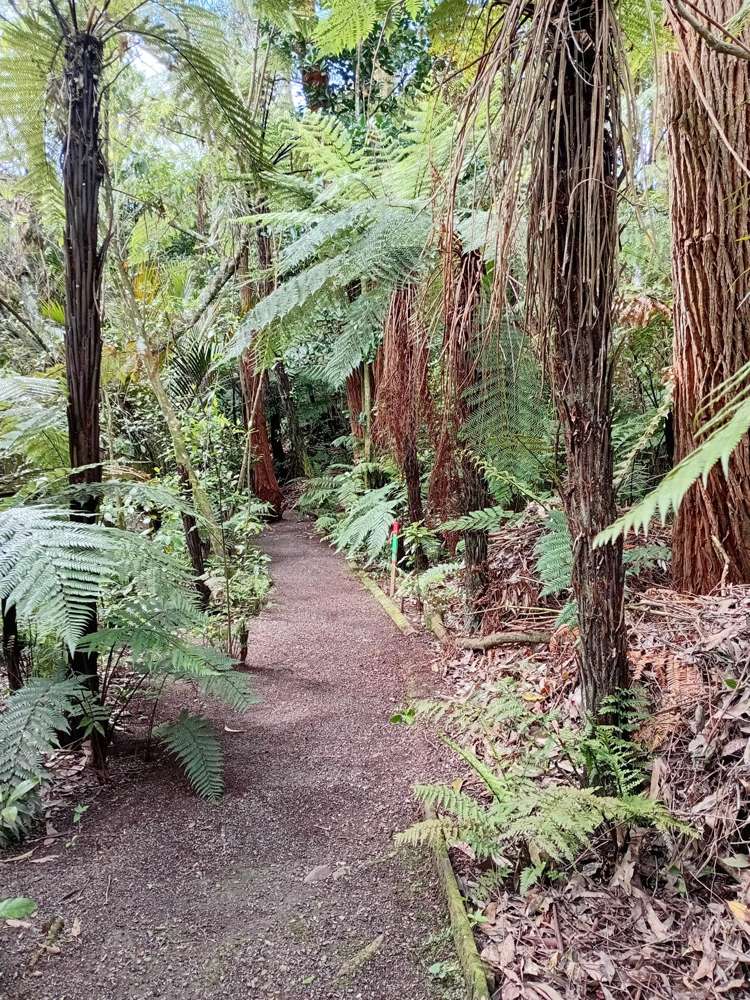 44 Margaret Street Shannon_16