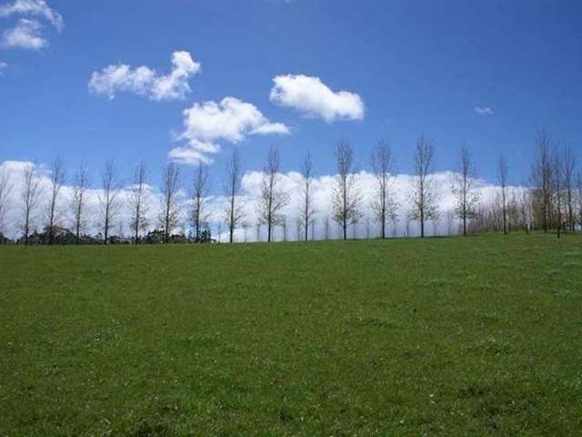 419 Pungaere Road Kerikeri Surrounds_2