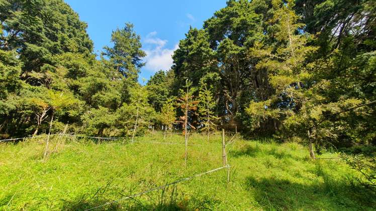 1241 Ararua Road Ararua_14