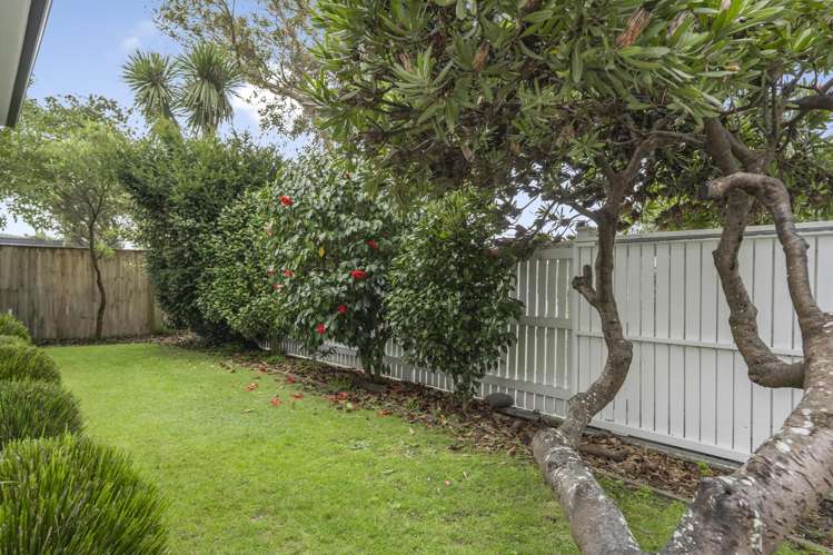 9 Hinau Street Eastbourne_22