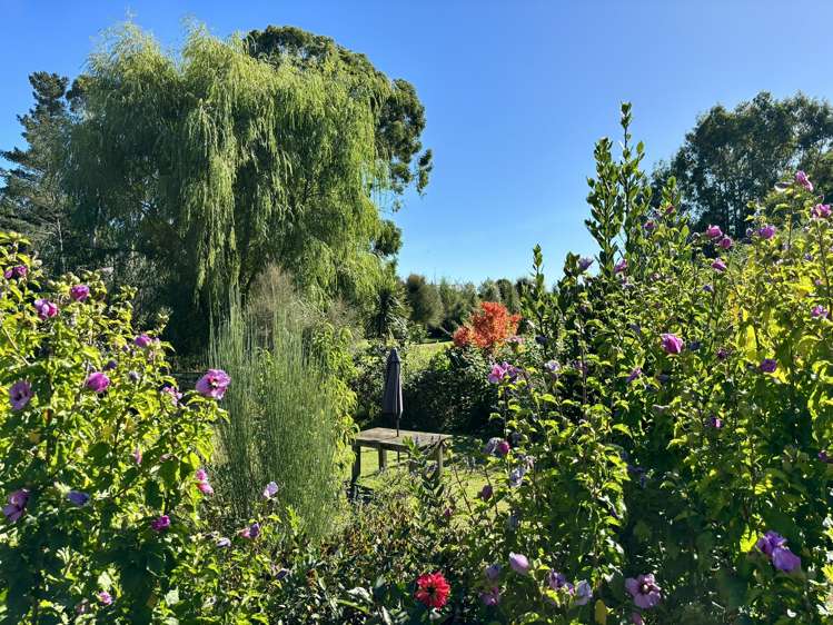 32 Phillips Street Tikokino_21