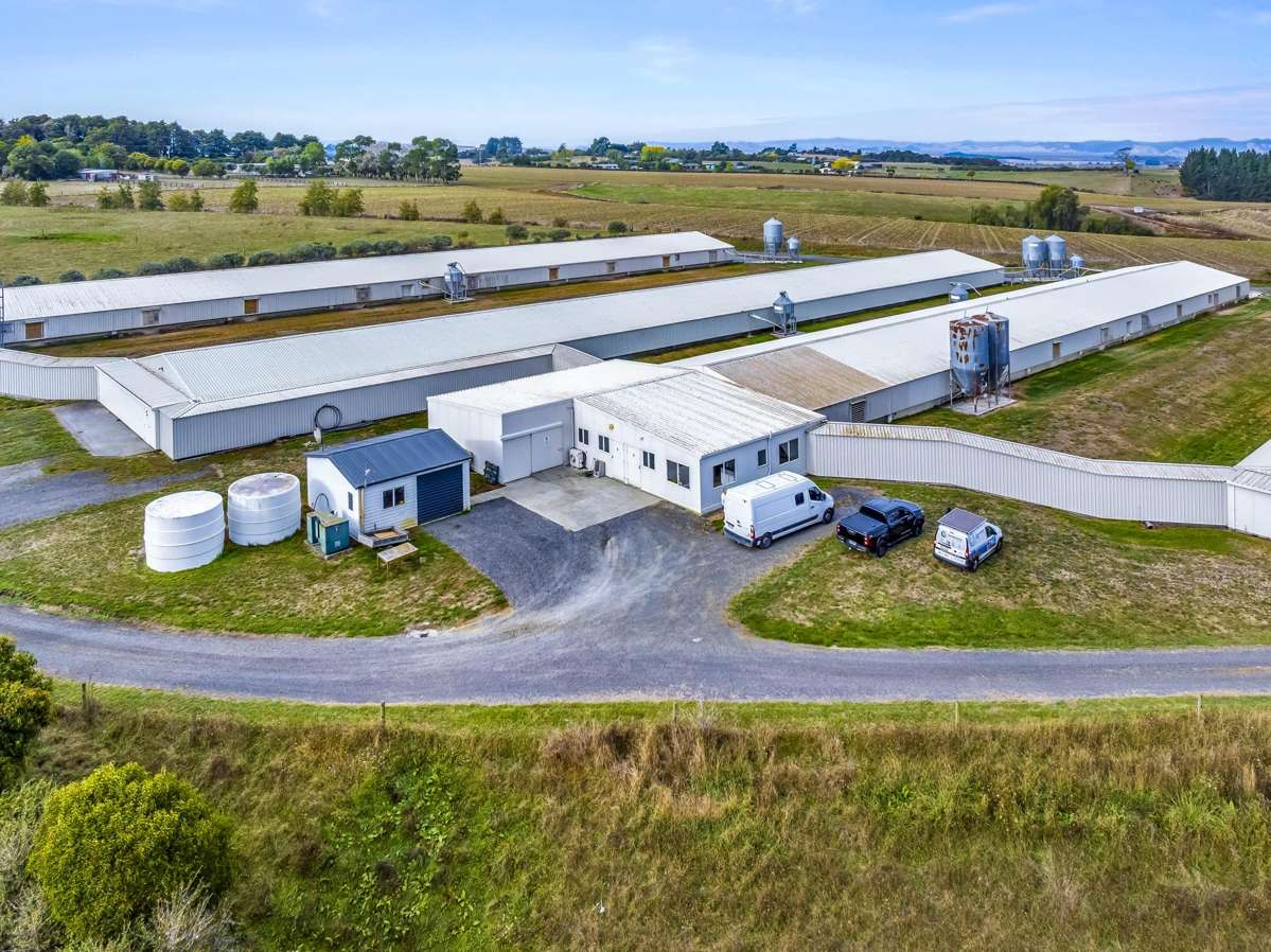 369 Mercer Ferry Road_0