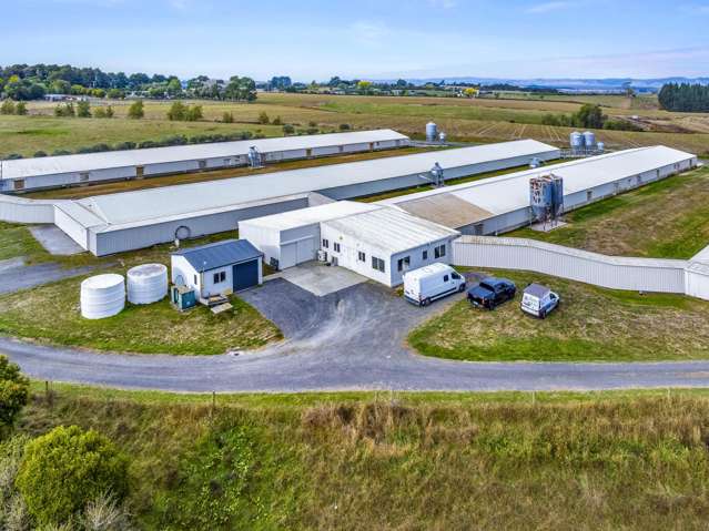 Largest automated contract breeder farm in NZ