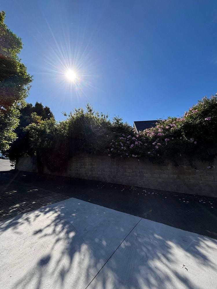 11 Fairway Drive Mount Roskill_8