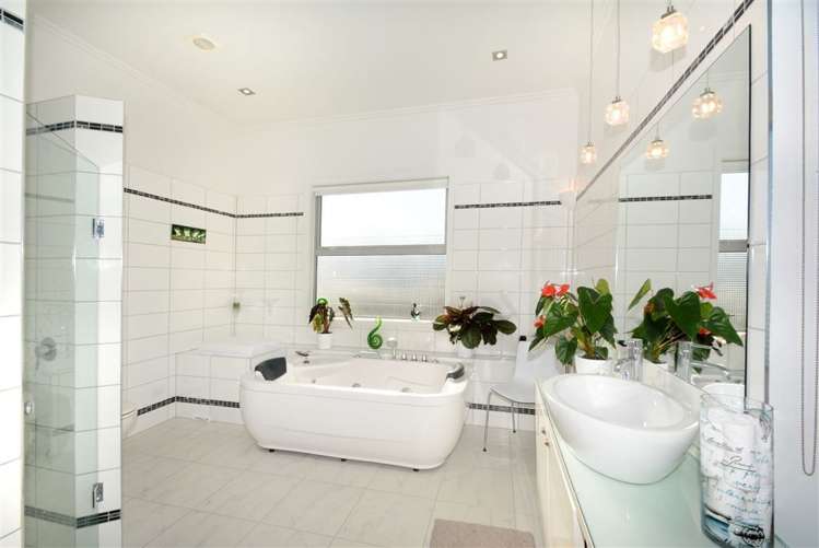 17 Eastbank Street Waverley_13