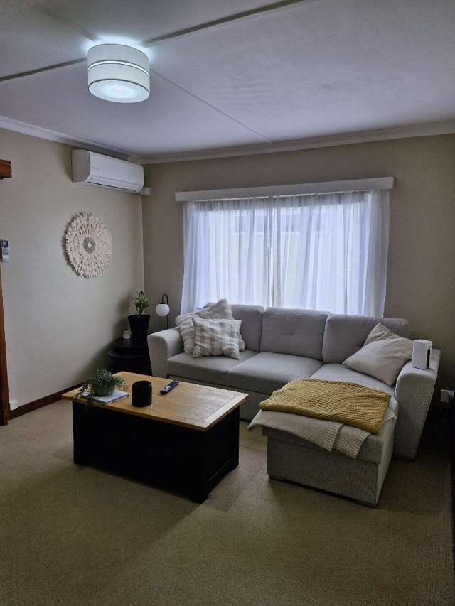 11A Selwyn Street Vogeltown_2