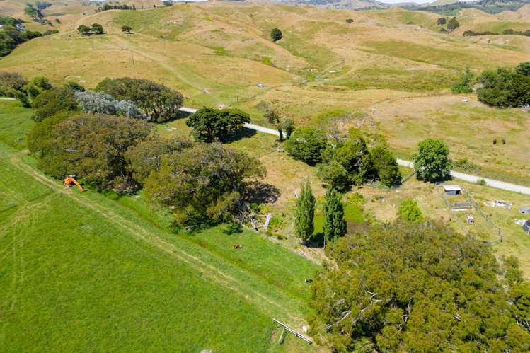 603 Te Akau South Road Te Akau_8