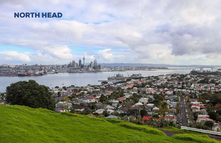 10/1B Egremont Street Belmont_16