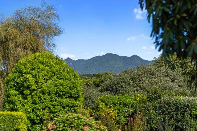 402 Baffin Street Pirongia_4