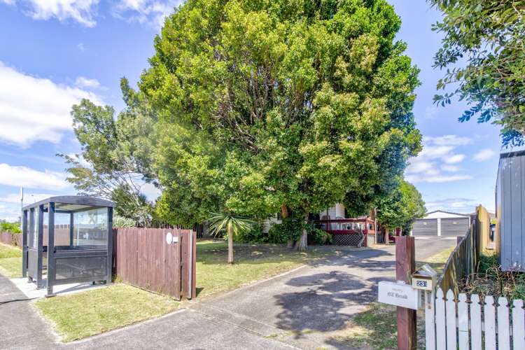 231 Finlayson Avenue Clendon Park_9