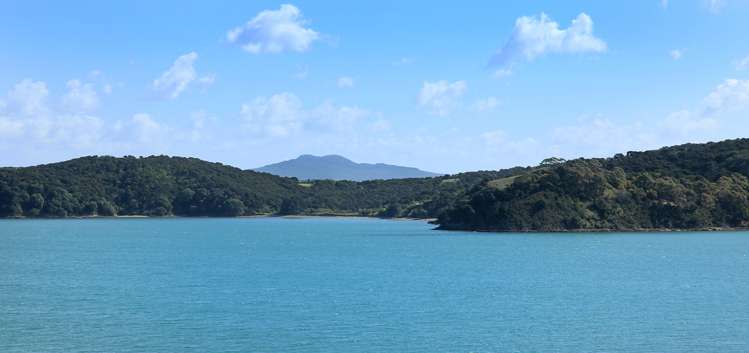 93 Donald Bruce Road Surfdale_13