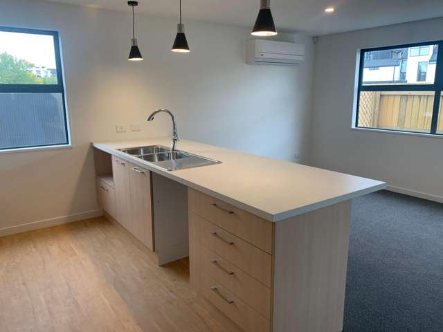 31A Gracefield Av Christchurch Central_2