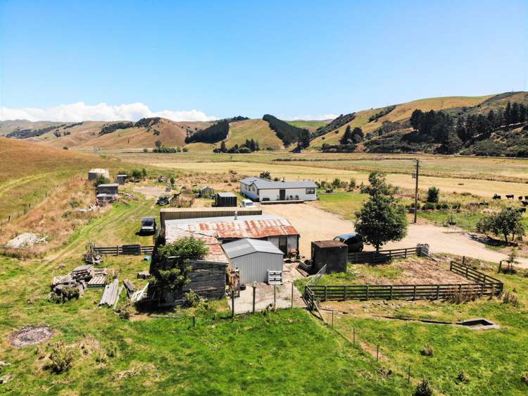 44 Apes Road Karitane_21