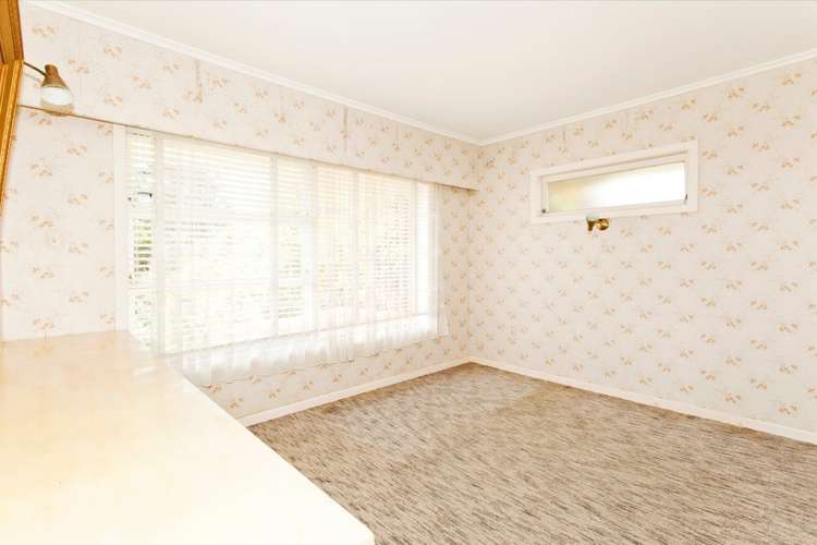 33 Salisbury Road Birkdale_12