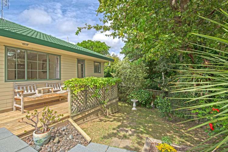 123a Cook Street Howick_19