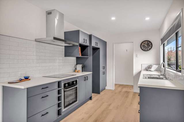 101 South Town Belt Rakaia_1