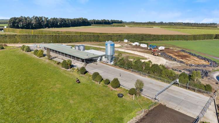 317 South Two Chain Road Dunsandel_3