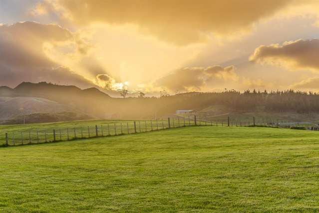 13 Slater Road Helensville_4