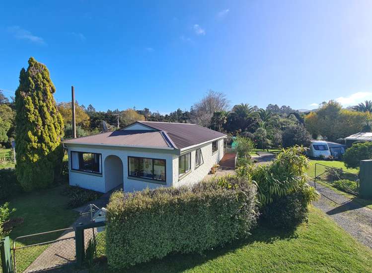 15 Driving Creek Road_4