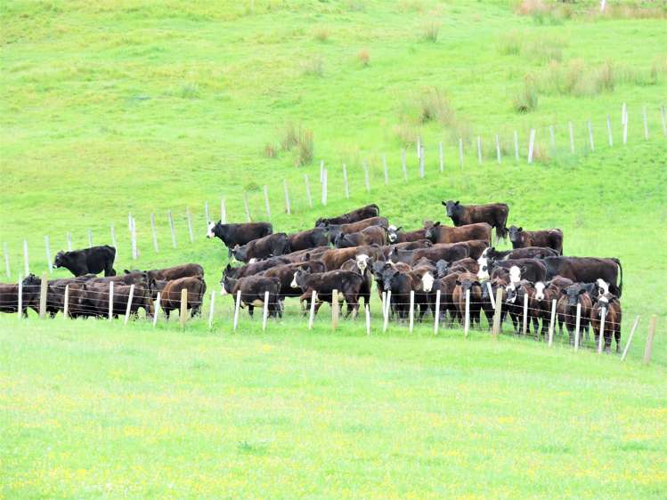 53 Jones Road Porangahau_1