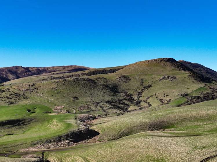 Hole and Corner Road Ferndale_13