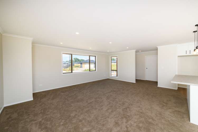 43 Hereford Street Marton_19