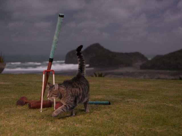 A/267 Bethells Road 1641_4