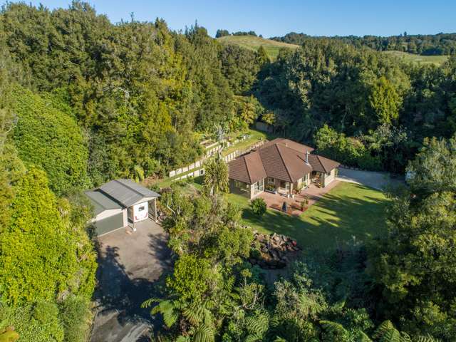 762a Whakamarama Road Whakamarama_3