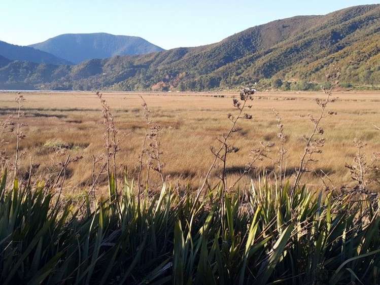 20 Mahakipawa Road Havelock_12