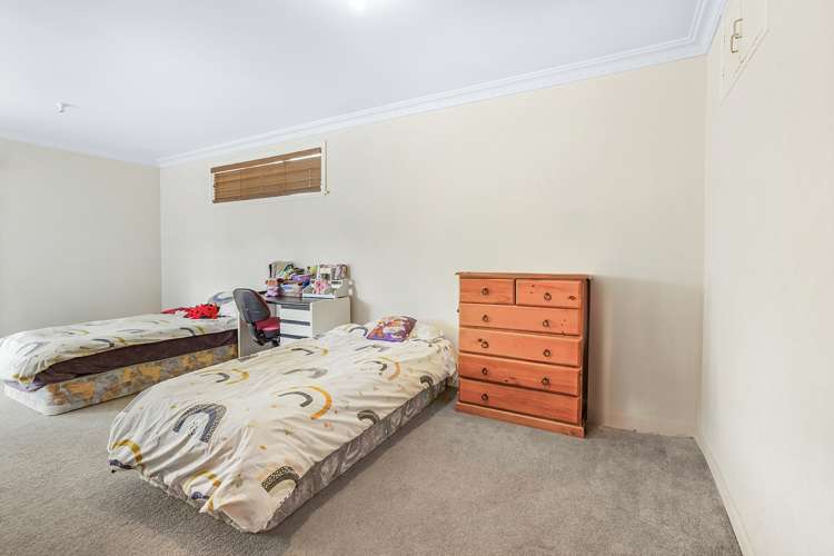 28 Young Street Claudelands_8