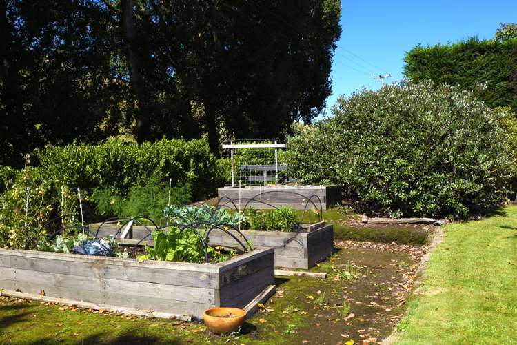 754 Puketitiri Road Puketapu_17