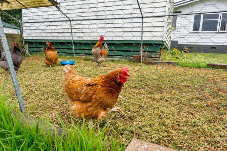 264 Glenbrook Beach Road Glenbrook_8