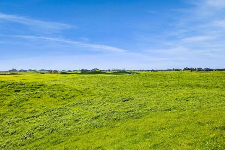 0n Parihaka Road Pungarehu_14