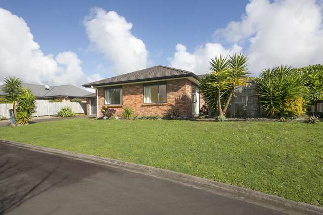 131 Kitchener Road Pukekohe_2