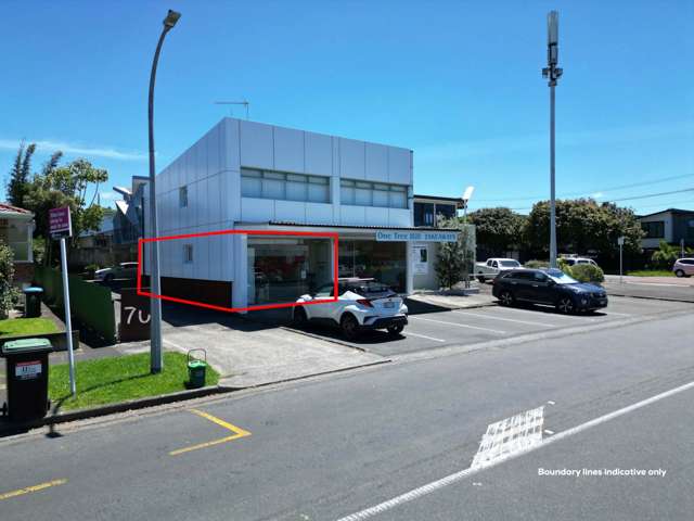 70A Tawa Road Onehunga_1
