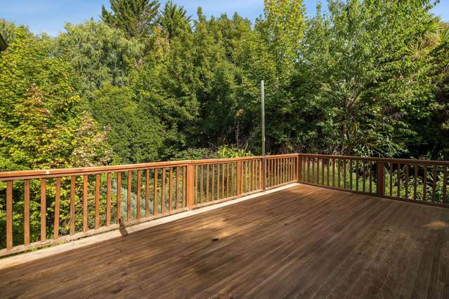 37 Larch Hill Place Queenstown_4