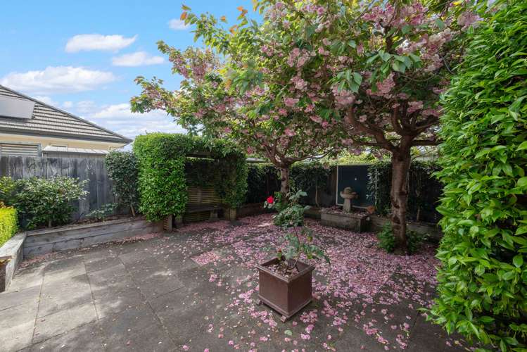 11 Roussel Place Springlands_29