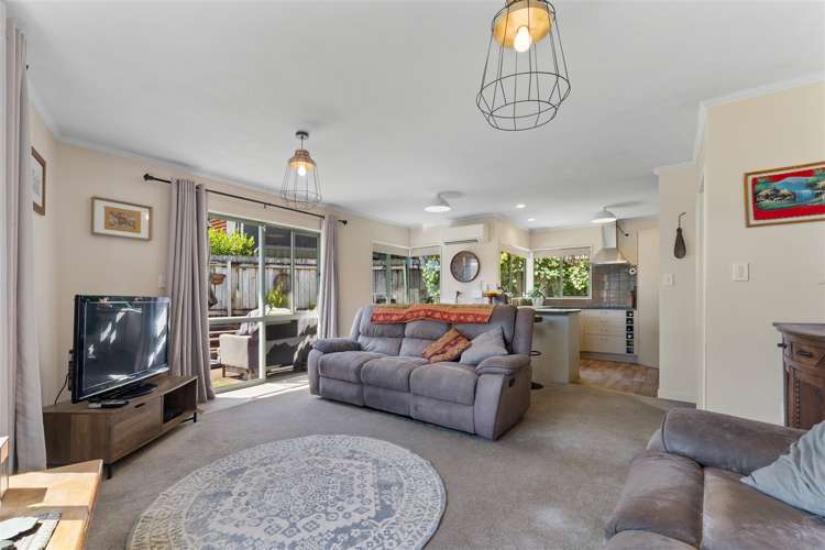 186 Hampden Terrace Nelson_15