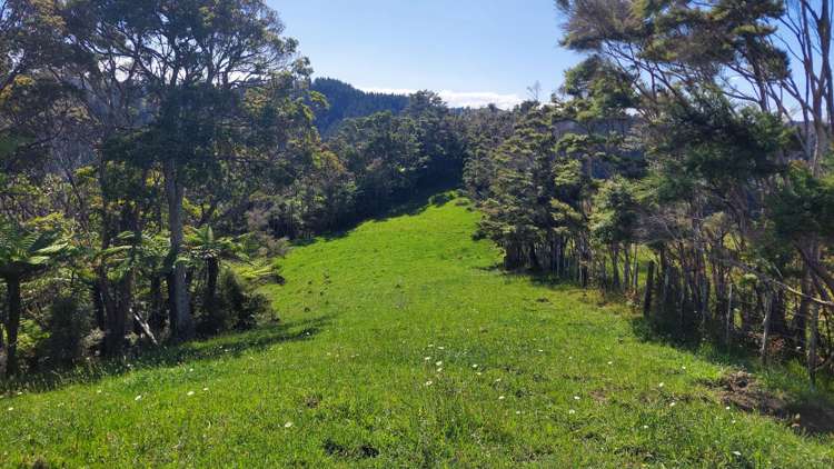 1104 Tapuhi Road Hikurangi Rd2_24