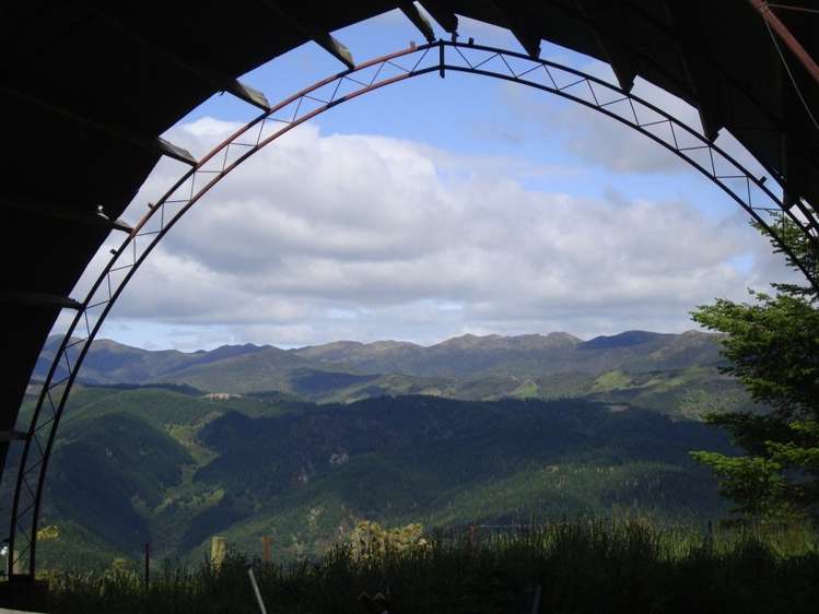 94 Stead Road Evansdale_13