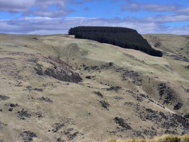Golden Bar Road Dunback_4