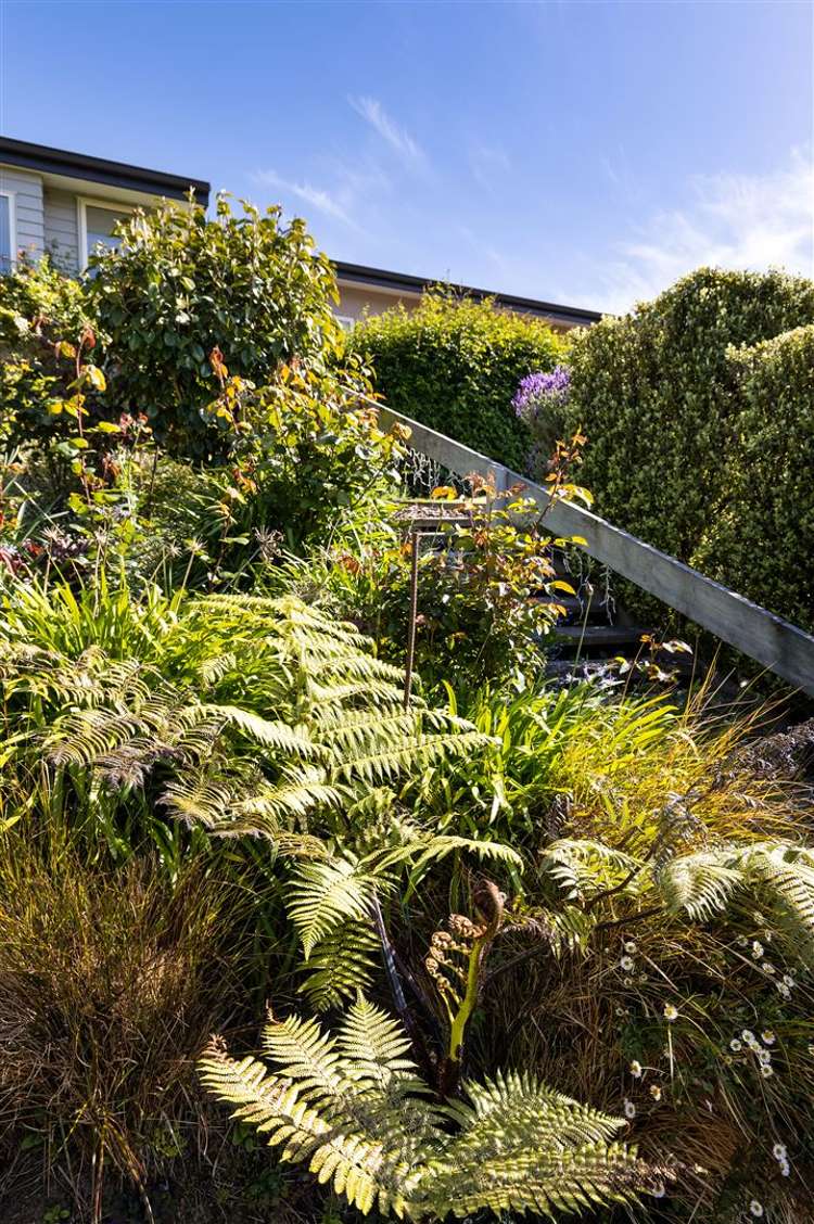 129 Marlborough Ridge Drive Fairhall_30