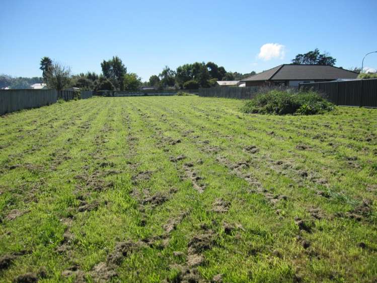 10 Latham Stubbs Crescent Waipawa_5