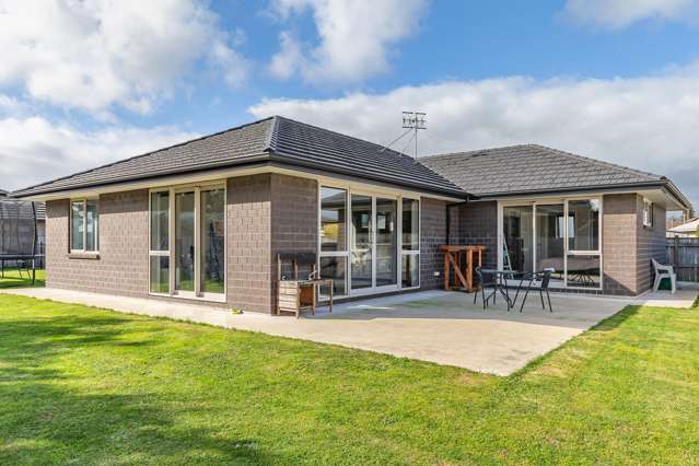 15 Barry Curtis Place Levin_2