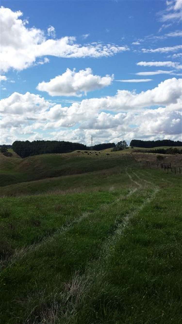 627 Churchill Road Pukekawa_17